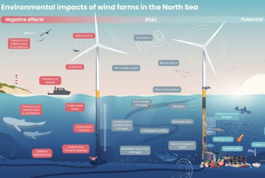 The North Sea Foundation