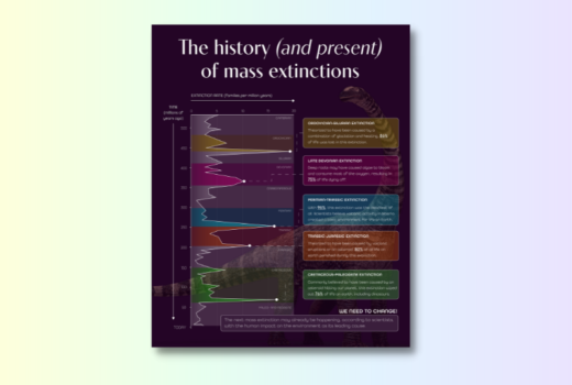 Mass extinctions