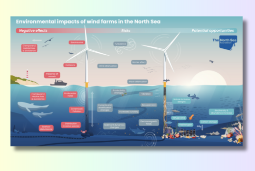 Wind farms in the North Sea